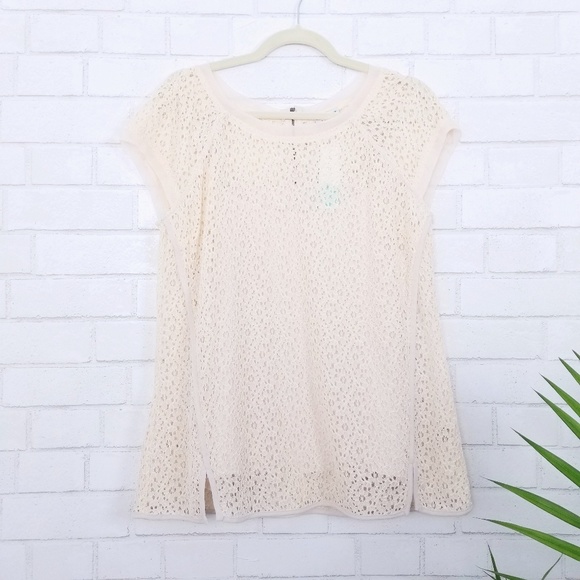 Pixley Tops - Pixley | Yuli Cream Lace Cap Sleeve Blouse Top